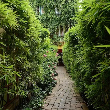 Les Patios Du Marais 2